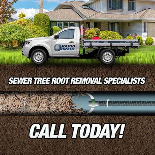Sewer Tree Root Removal Specialists In Dinmore